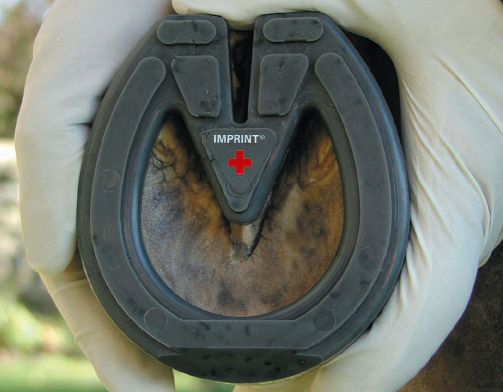Glue-On Shoes