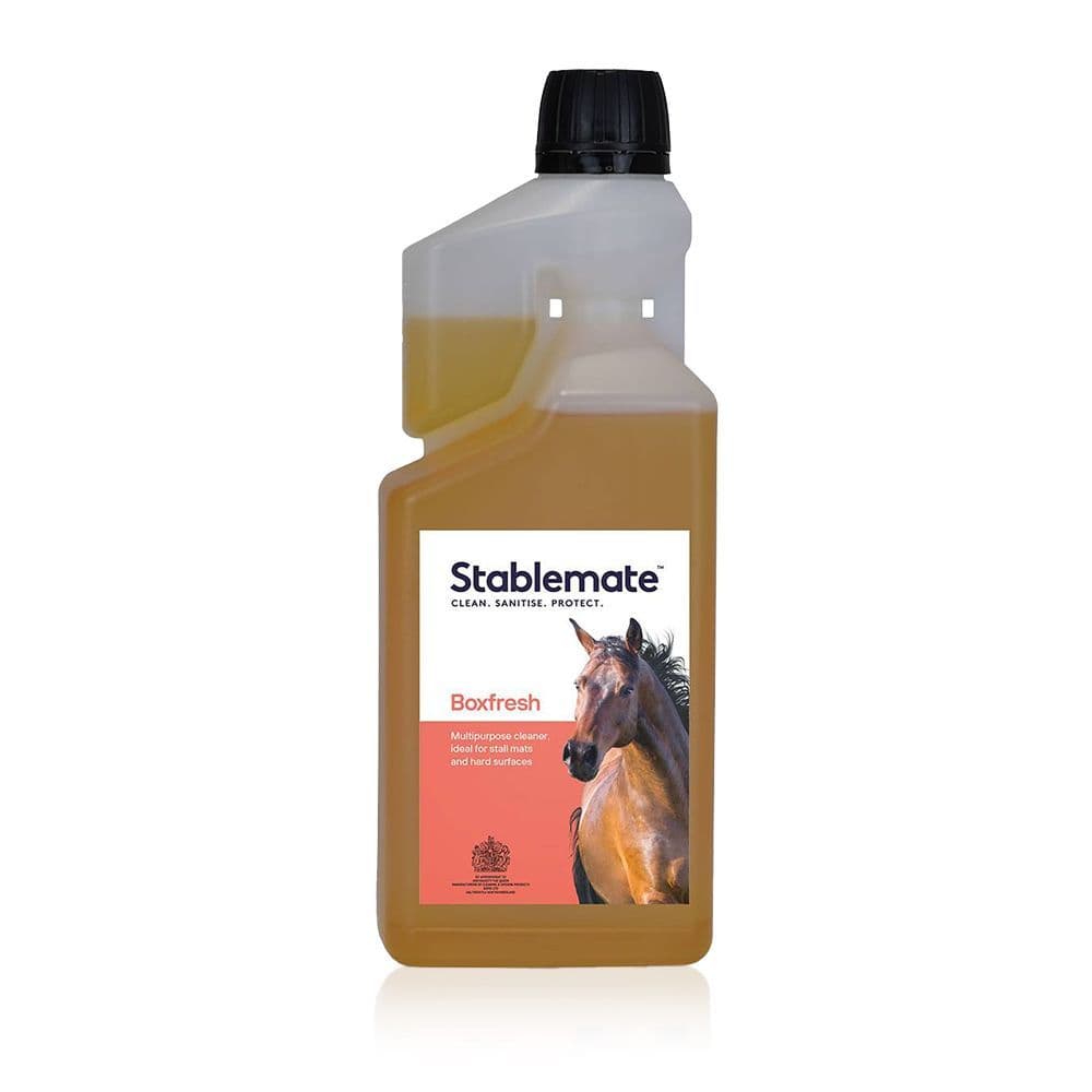 AGMA Stablemate Boxfresh