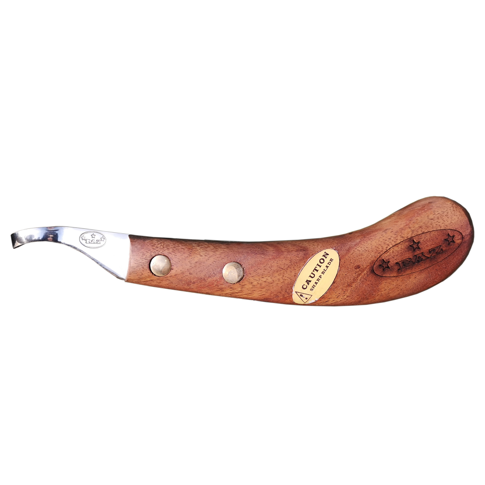 Baz Abscess Loop Knife