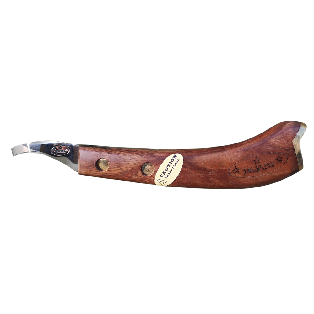 Baz Fitting Loop Knife