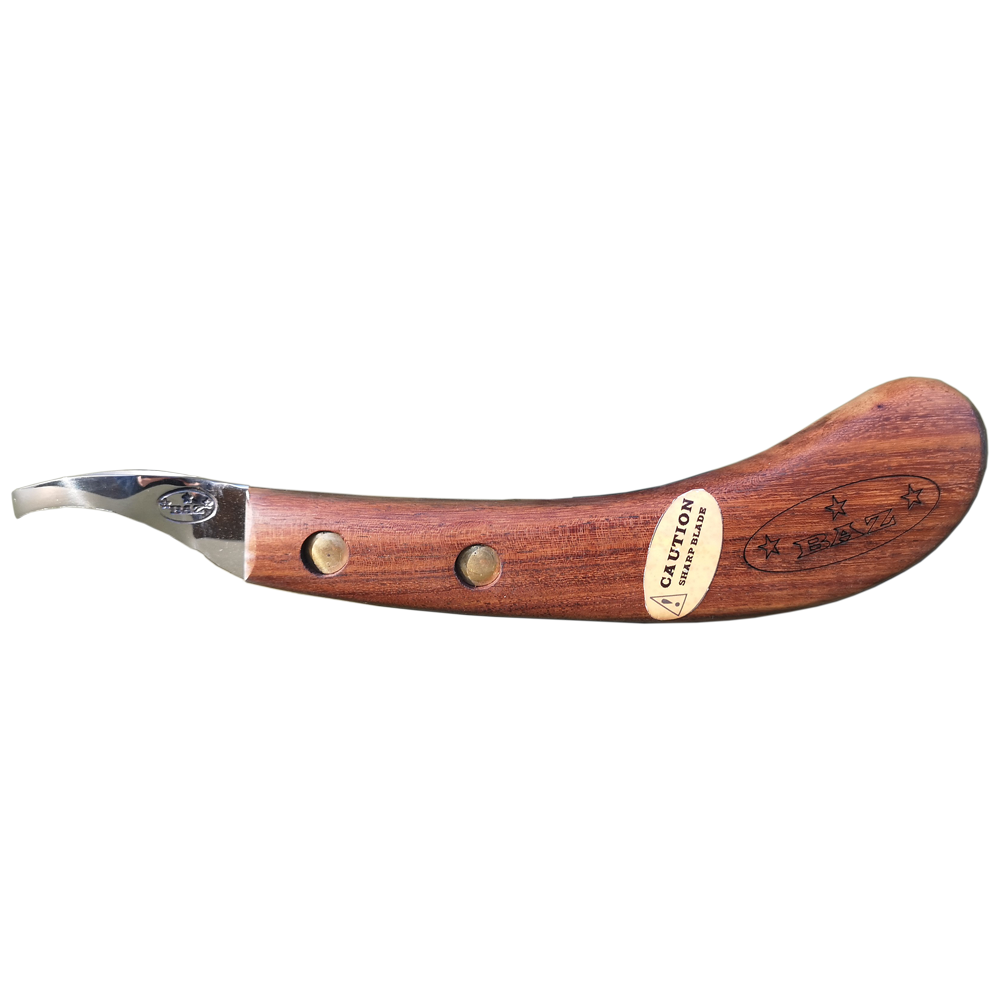 Baz Slim Loop Knife