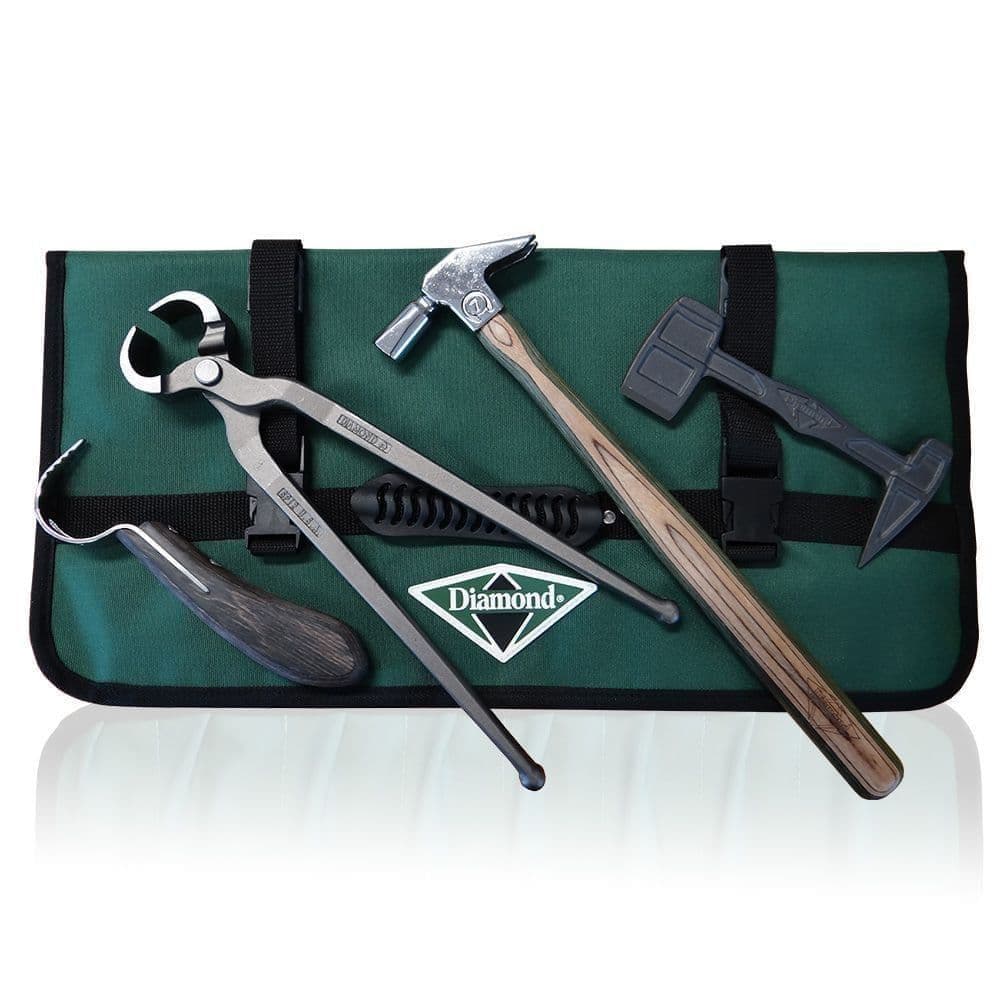 Diamond Shoe Removal Kit