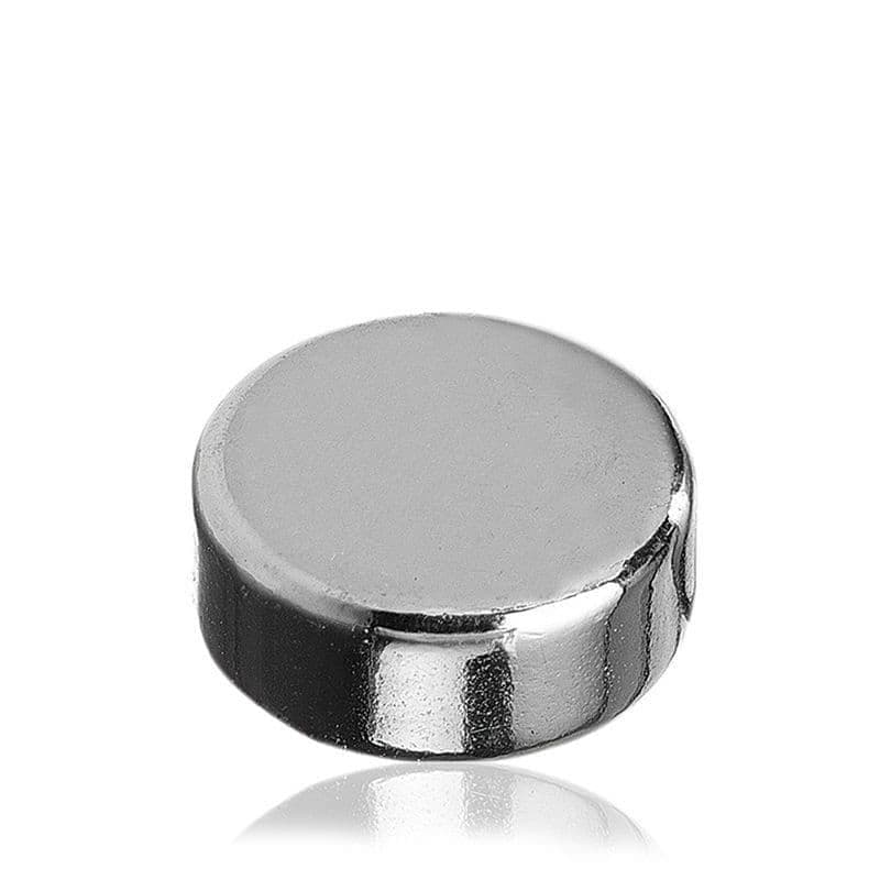 Hammer Magnet