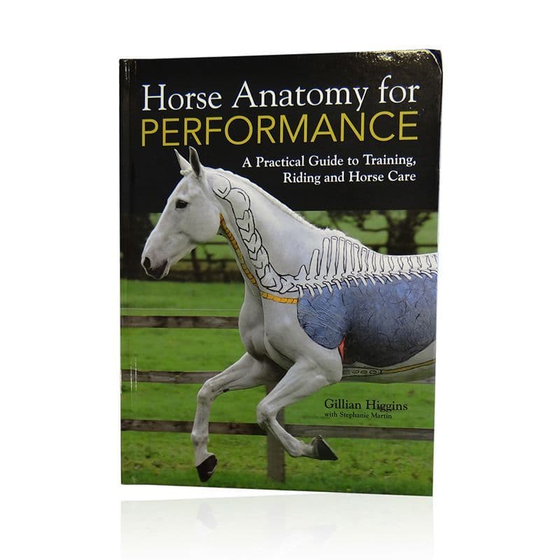 Horse Anatomy for Performance