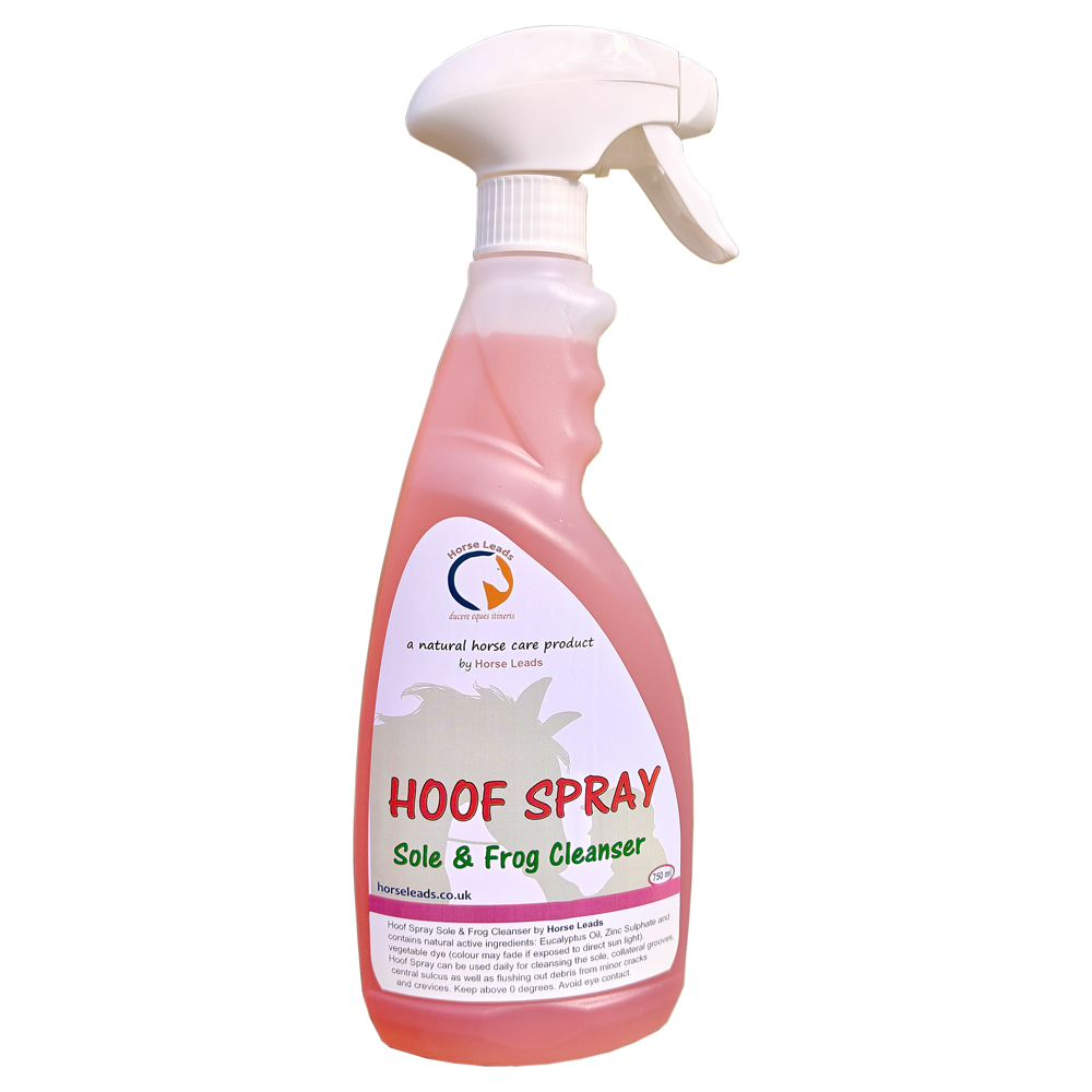 Horse Leads Hoof Spray Sole & Frog Cleanser