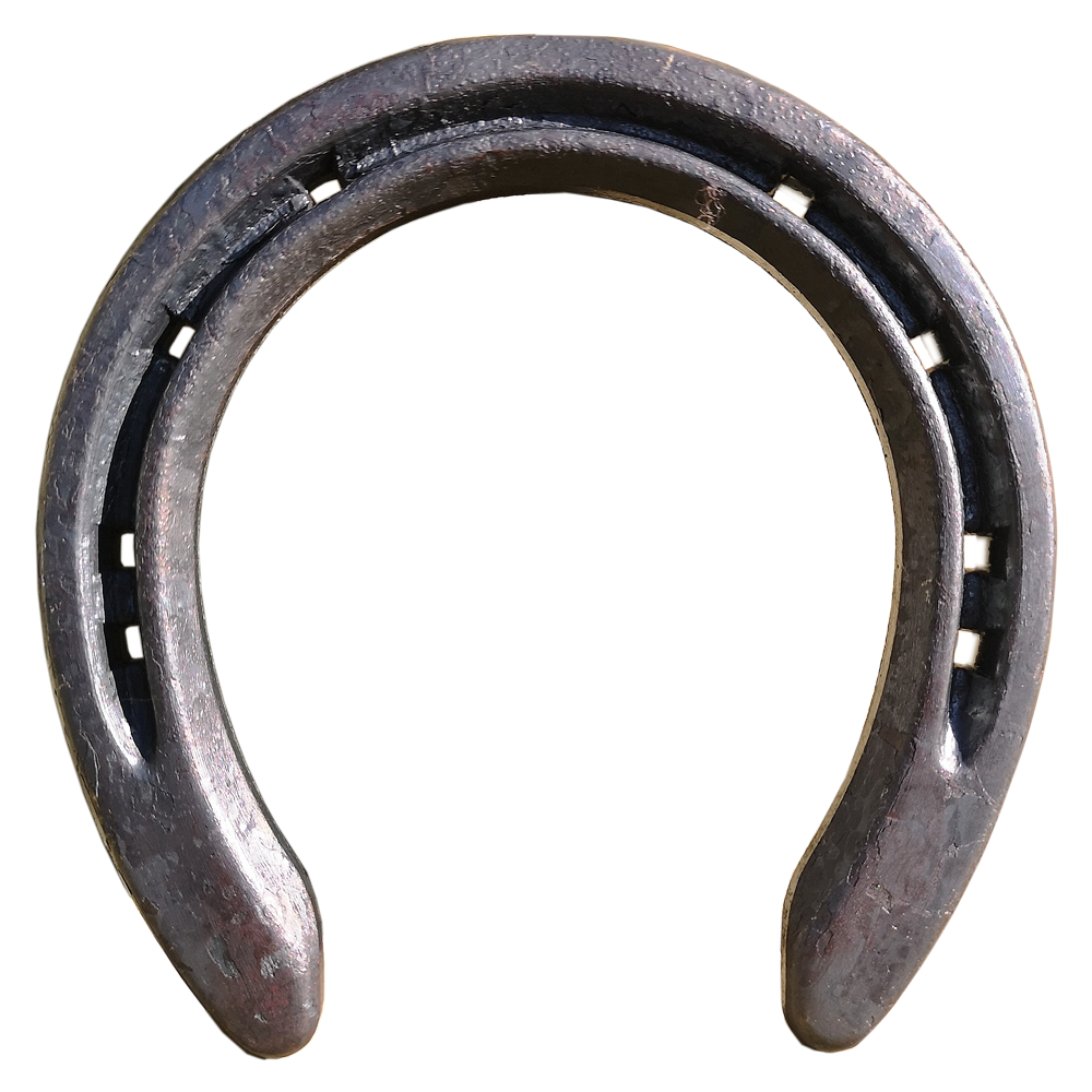 Malaysian Quality Pony