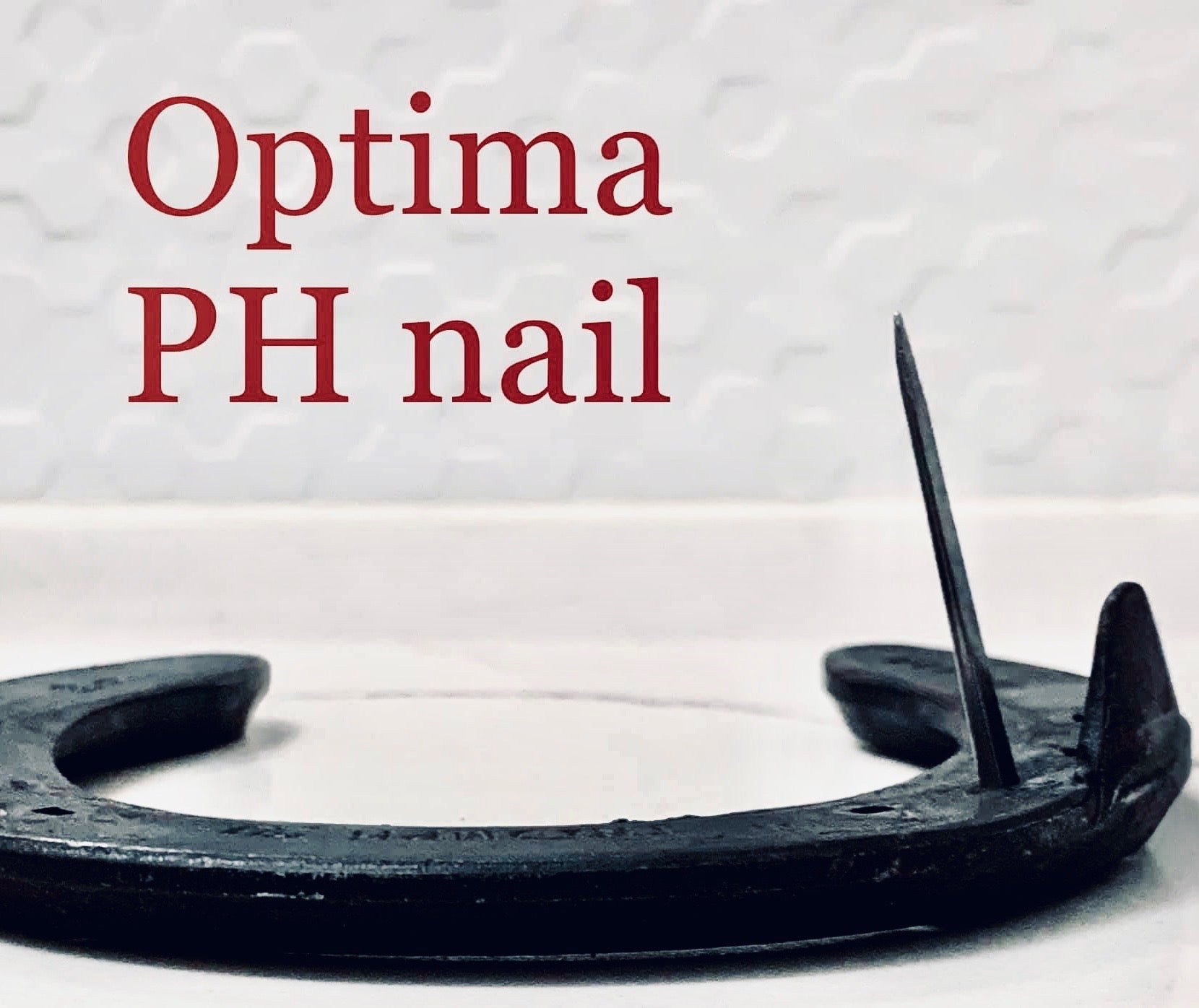 Optima Pitched Head Horse Nails