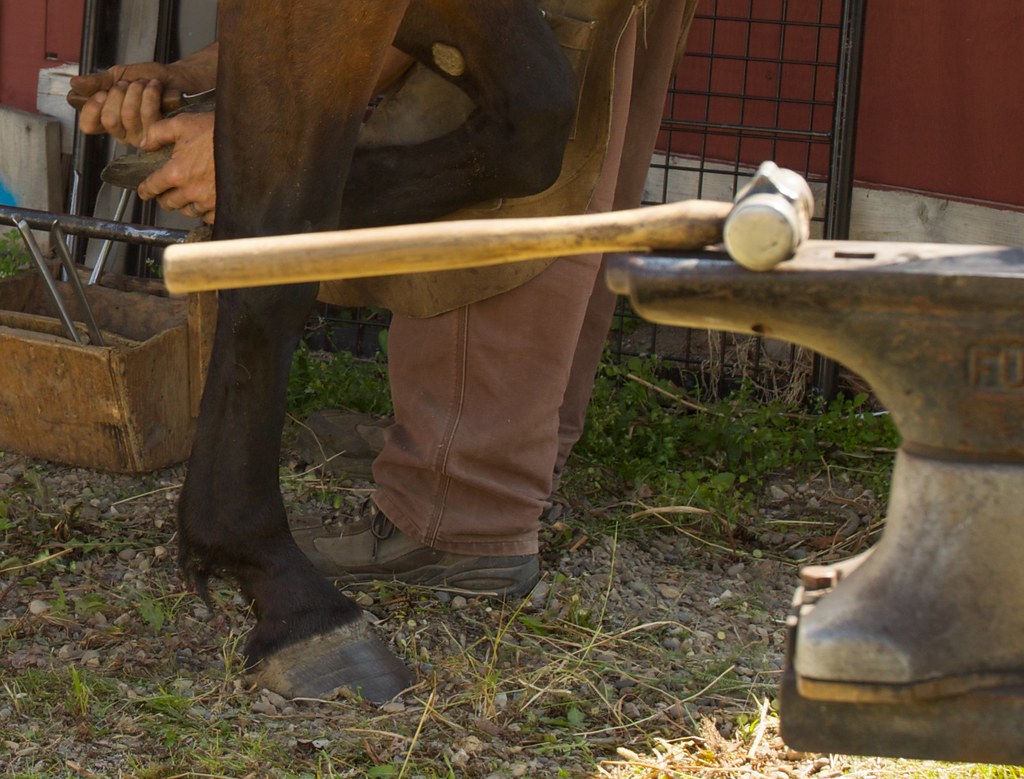 Stromsholm Economy Hammer